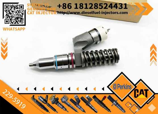 Common Rail Injector Assy Injector 211-3025 10R-0955 10R-8500 229-5919 10R-1000 Engine C15 2113025