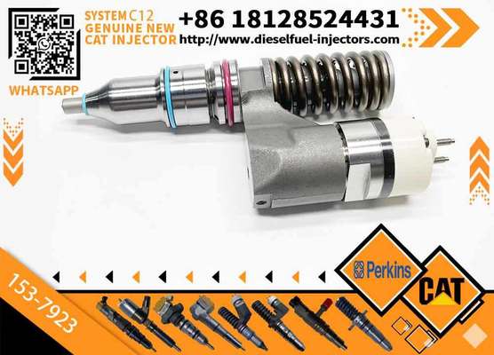 Quality - Tested Fuel Injector 153-7923 0R-9595 CAT C12 1537923 0R9595 Common Rail Injector for Caterpillar 3176B Excavator