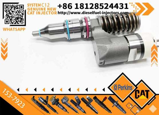Quality - Tested Fuel Injector 153-7923 0R-9595 CAT C12 1537923 0R9595 Common Rail Injector for Caterpillar 3176B Excavator