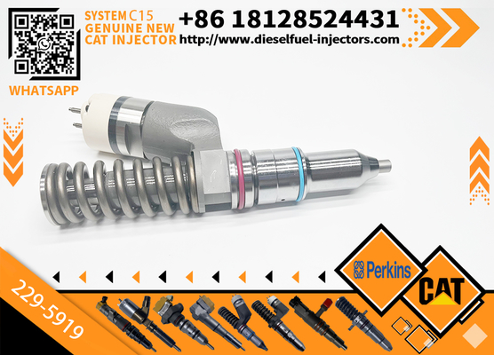 Excavator Injector 10R1000 10R-1000 2295919 229-5919 For C15 Engine Parts Diesel Nozzle Assembly